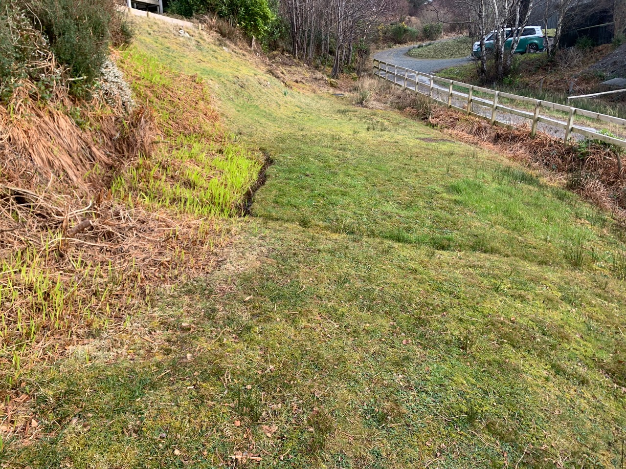 A grassy slope with scrubby plants around the edges