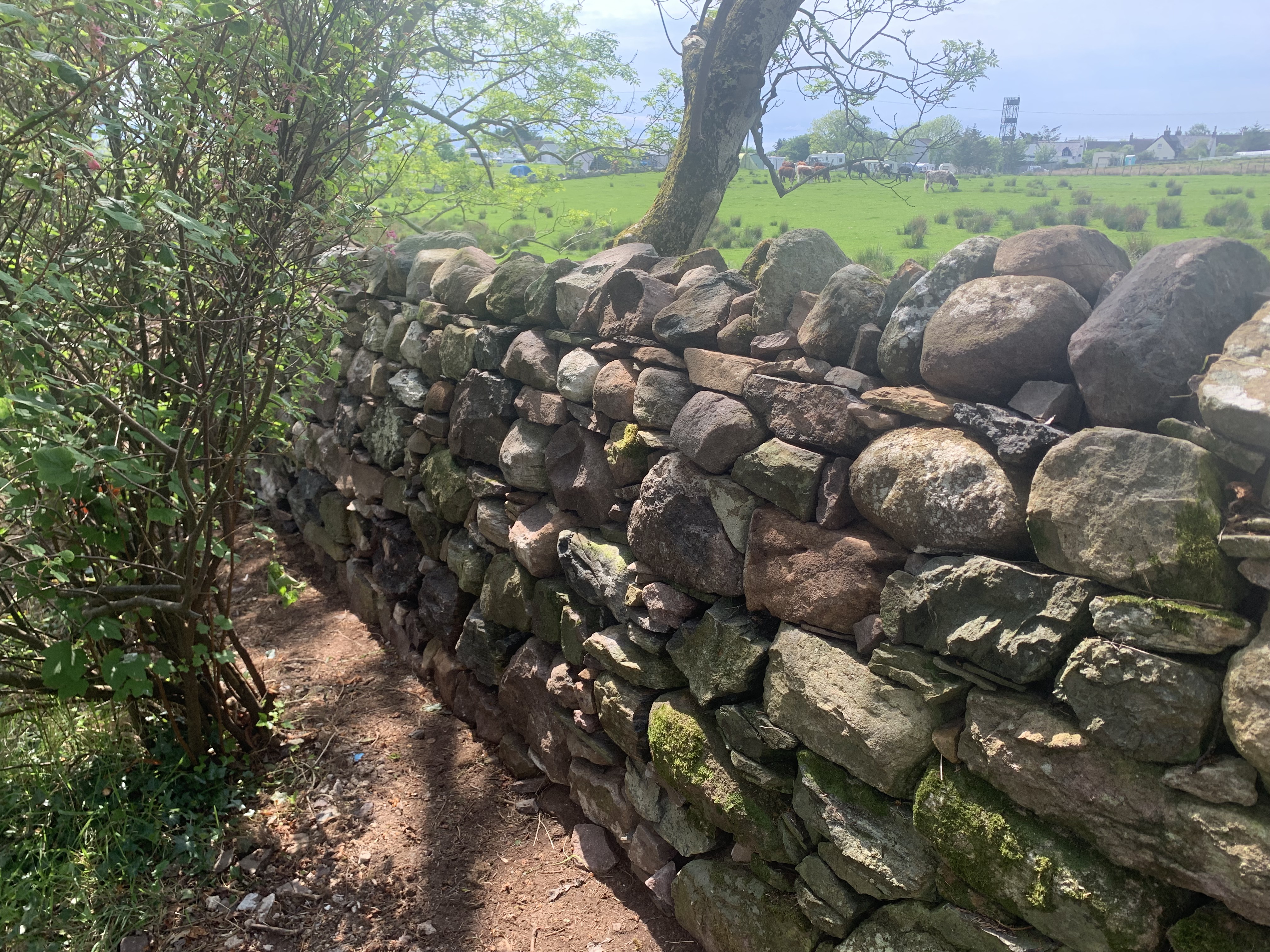 drystone-wall-gairloch