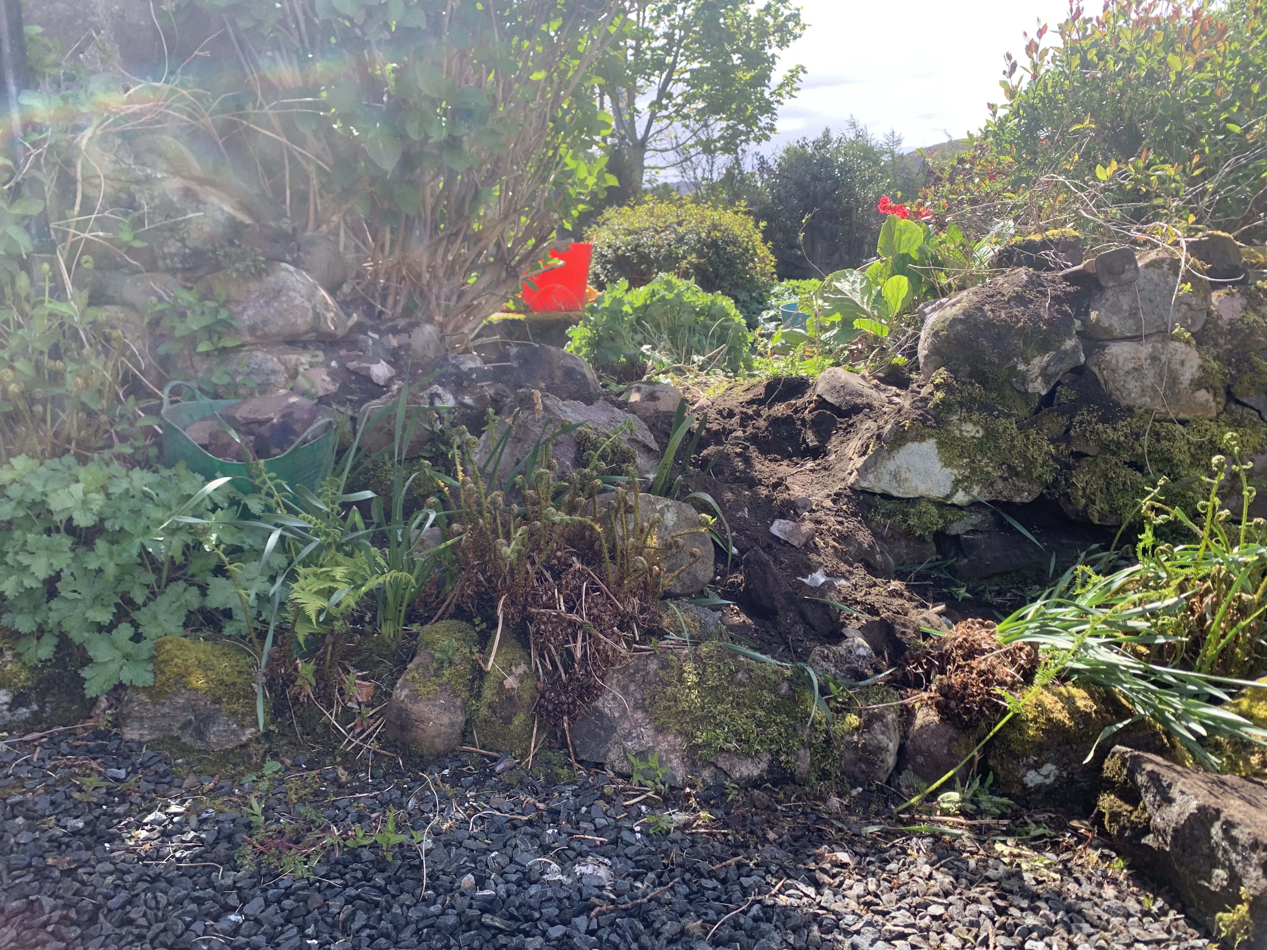 A disorderly jumble or stone and plants