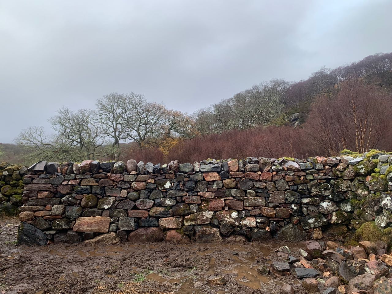 A newly repaired stock proof dry stone wall in a fank in Shieldaig. 