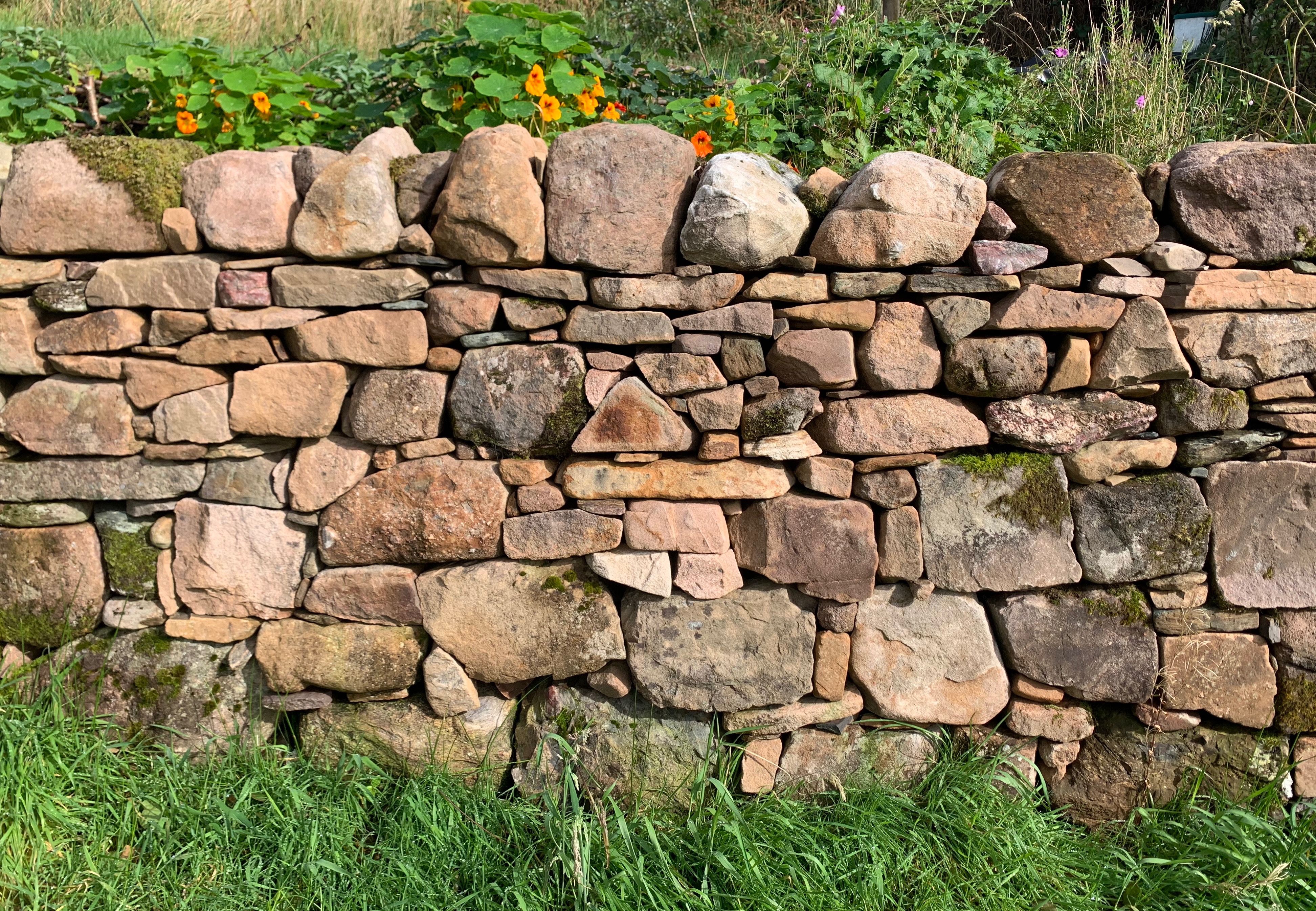 Newly built dry stone wall with pale sandstone
