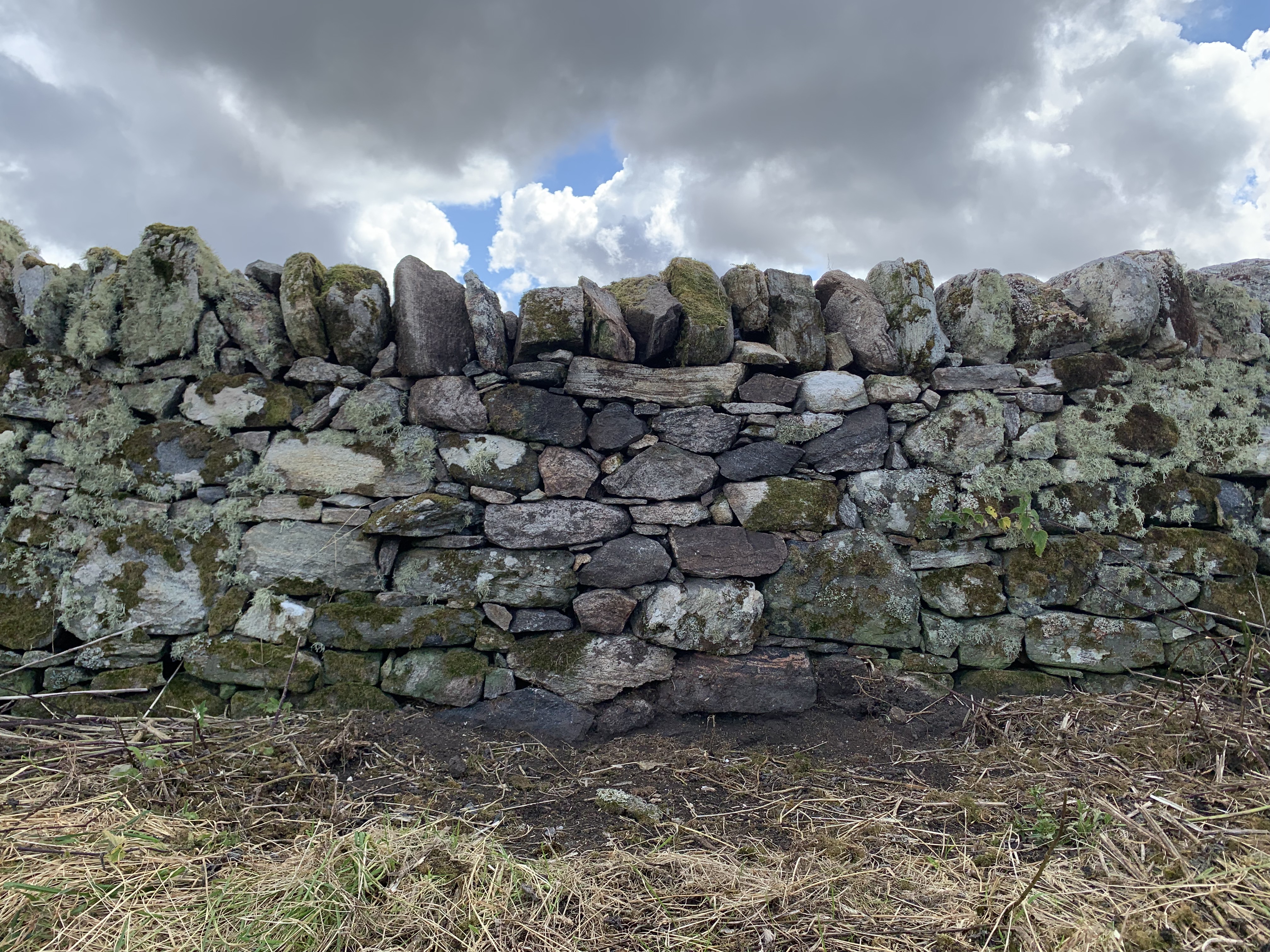 Newly repaired dry stone wall with the new section showing less lichen cover